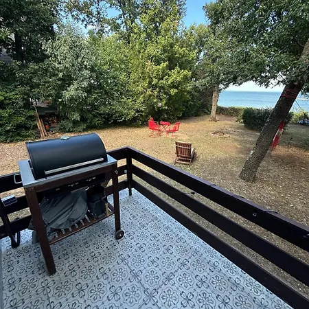 Nagyi Nyaraloja - Vizparti