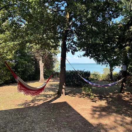 Case de vacanță Nagyi Nyaraloja - Vizparti