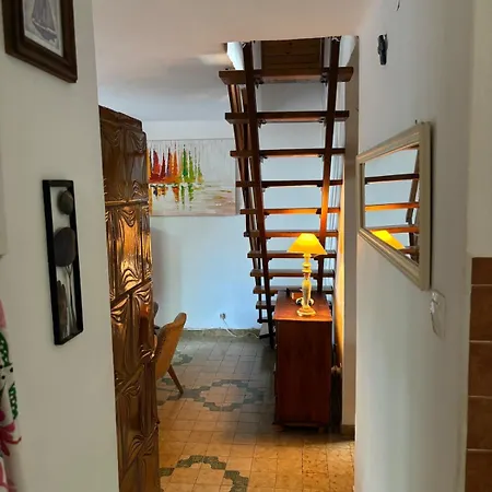 Case de vacanță Nagyi Nyaraloja - Vizparti *