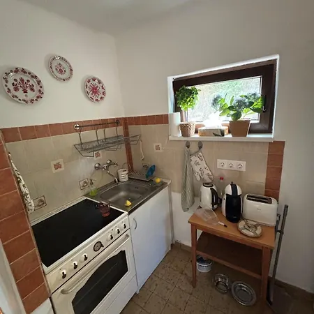 Nagyi Nyaraloja - Vizparti