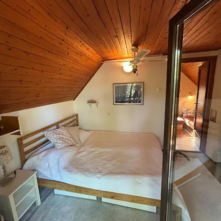 Case de vacanță Nagyi Nyaraloja - Vizparti